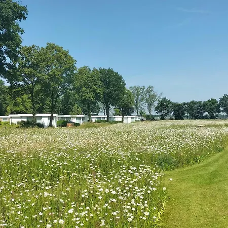 Gorgeous In With Wifi