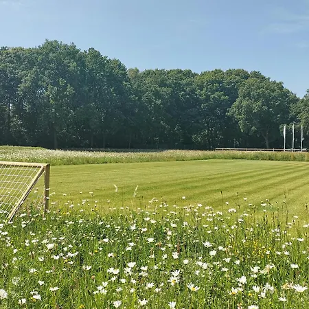 Gorgeous In With Wifi