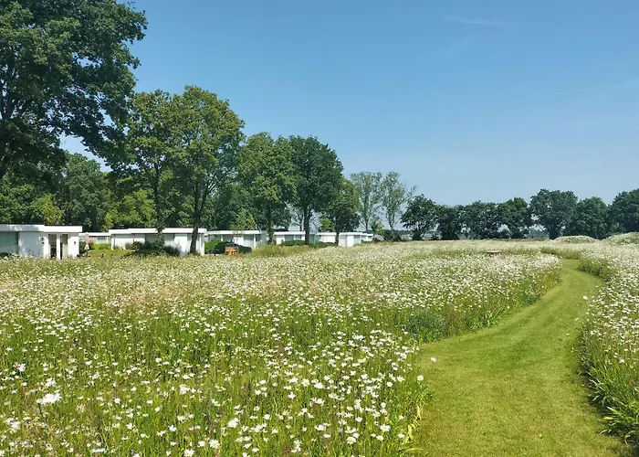 Gorgeous In With Wifi