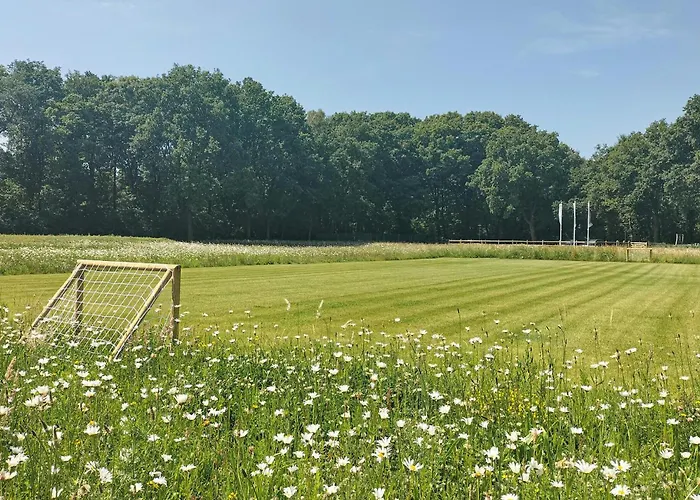 Gorgeous In With Wifi