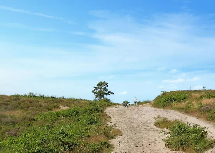 Gorgeous In With Wifi アッフェルデン