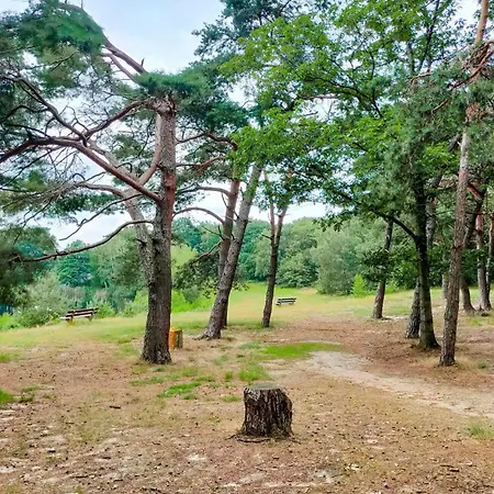 Gorgeous In With Wifi